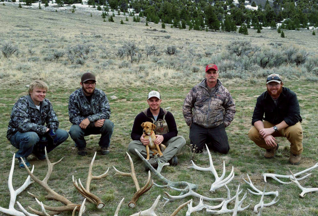 Shedhorn hunting contest